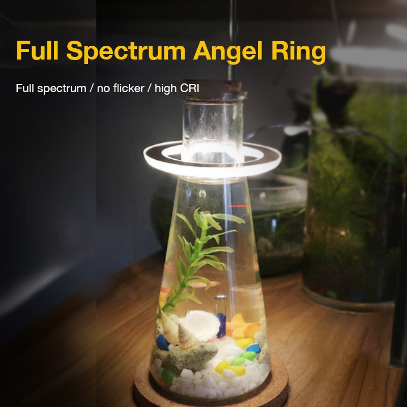Glint Angle Plant Light 2 Ring (Pink)