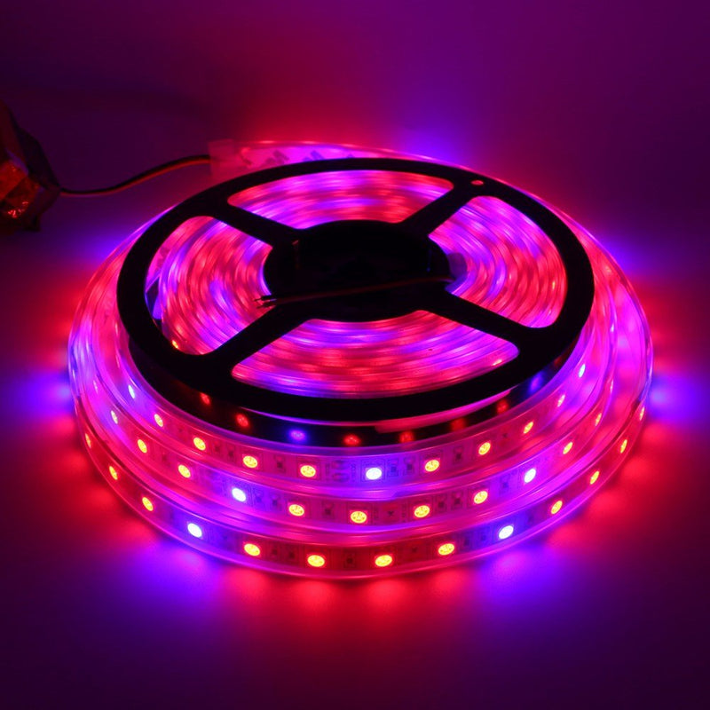Glint LED Grow Strip Light 3 Meters, Full-Spectrum Plant Growing Strip