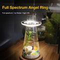Glint Angle Plant Light 2 Ring (Pink)