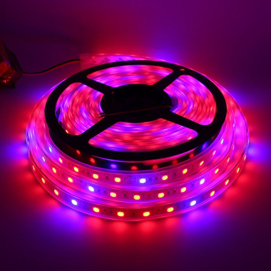 Glint LED Grow Strip Light 5 Meters, Full-Spectrum Plant Growing Strip