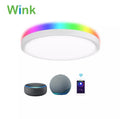 Wink 16 Inch Colourful LED Ceiling Light 32W, RGB Smart Ceiling Light with Remote