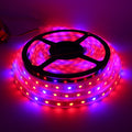 Glint LED Grow Strip Light 3 Meters, Full-Spectrum Plant Growing Strip